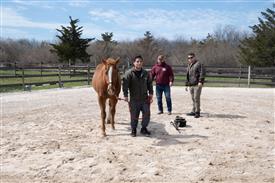 LR-WRF 0402026 Retreat-3257